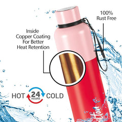Ancy 500 Thermosteel Water Bottle,| 24 Hours Hot and Cold | Easy to Carry | Rust Proof | Tea | Coffee | Office| Gym | Home | Kitchen | Hiking | Trekking | Travel Bottle